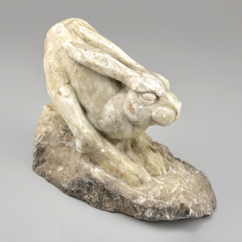 Самоотверженный Заяц